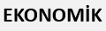 EKONOMİK
